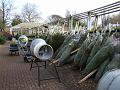 2008-1208-Morden_Hall_Garden_Centre_1140_6C